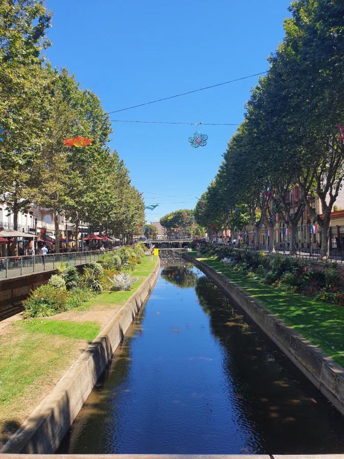 Superbe Batisse De Caractere, Coeur De Ville Perpignan Dış mekan fotoğraf