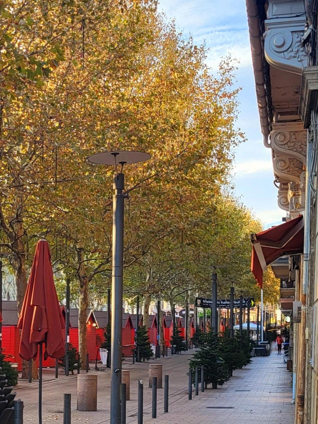 Superbe Batisse De Caractere, Coeur De Ville Perpignan Dış mekan fotoğraf